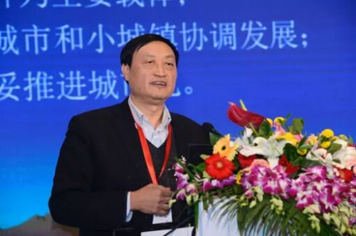 肖金成副會(huì)長:十三五時(shí)期的城鎮(zhèn)化與城市群發(fā)展