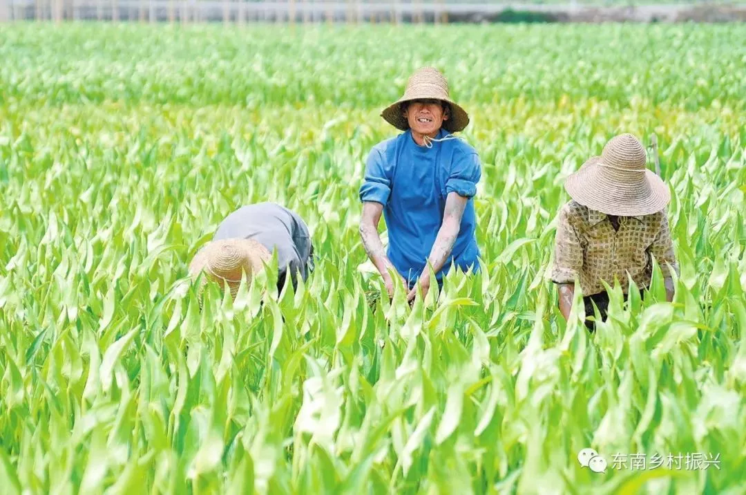國家發(fā)展改革委下達(dá)中央預(yù)算內(nèi)投資支持國務(wù)院表揚激勵城市和相關(guān)重點園區(qū)建