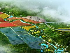 鄭州市工信局：積極構(gòu)建管城區(qū)、經(jīng)開(kāi)區(qū)、中牟縣“兩區(qū)一縣”氫燃料電池汽車(chē)