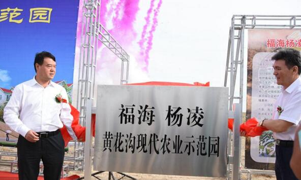 新疆福?？h攜手楊凌高新區(qū)打造中國高緯度農業(yè)示范基地