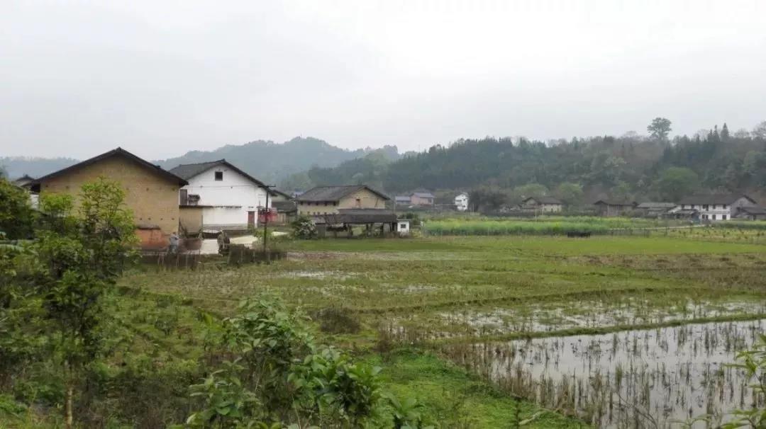 農(nóng)村土地確權(quán)結(jié)束，沒登記的四荒地如何處理？