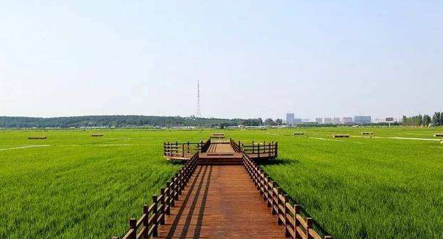 黑龍江省五常市現(xiàn)代農業(yè)產業(yè)園
