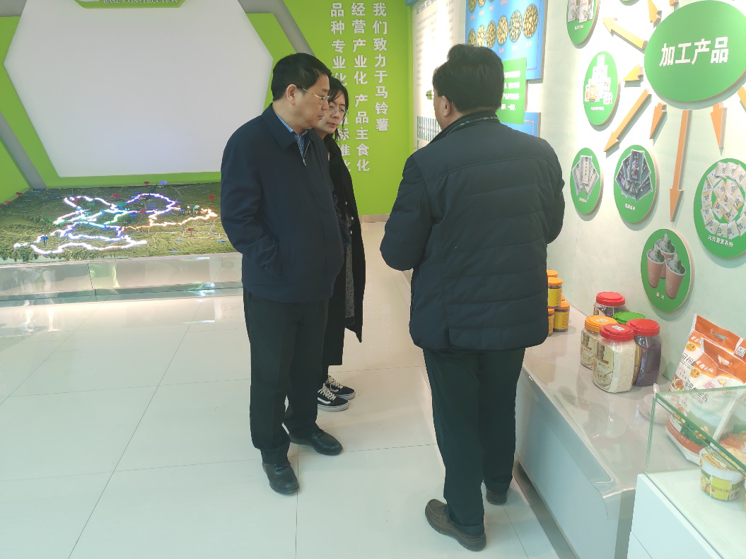 “中國薯都”再奏新旋律，定西市安定區(qū)開啟馬鈴薯產(chǎn)業(yè)發(fā)展新篇章