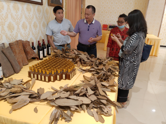 龔州大地，龍眼飄香-平南現(xiàn)代農(nóng)業(yè)正釋放科技創(chuàng)新活力