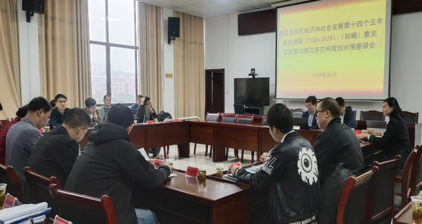 集聚頭腦風(fēng)暴，為高質(zhì)量編制桃江“十四五”規(guī)劃建言獻策