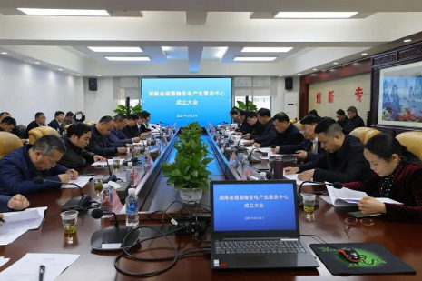 湘雁輸變電產(chǎn)業(yè)服務(wù)中心在長沙成立，湖南輸變電產(chǎn)業(yè)開啟發(fā)展新篇章