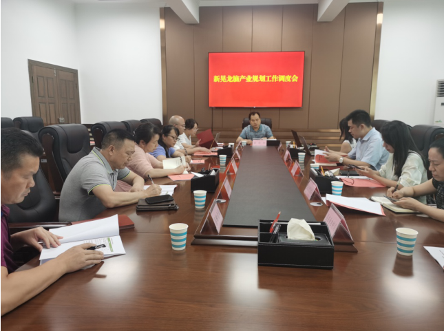 發(fā)力五型經(jīng)濟(jì)，著力打造“中國(guó)龍腦之都”