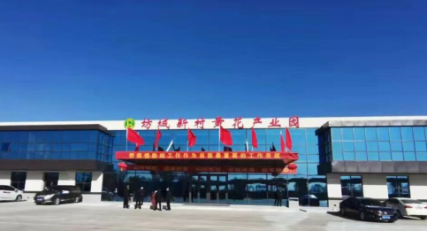 大同黃花，忘憂云州——云州區(qū)積極申創(chuàng)國家農(nóng)業(yè)現(xiàn)代化示范區(qū)