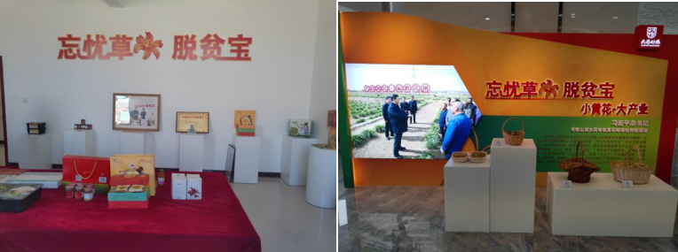 打造農業(yè)綠色發(fā)展典范，云州區(qū)創(chuàng)建國家農業(yè)綠色發(fā)展先行區(qū)勢在必行